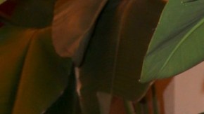 Las nuevas declaraciones de Julián Gil reviven su conflicto con Marjorie de Sousa.