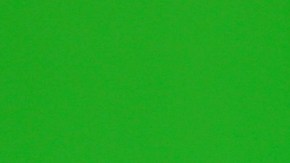 Ninel Conde desea unir su voz con Thalía en una canción cristiana.