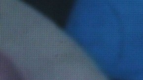 Niurka Marcos está en riesgo de salir de "La Casa de los Famosos All-Stars".