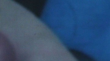 Niurka Marcos está en riesgo de salir de "La Casa de los Famosos All-Stars".