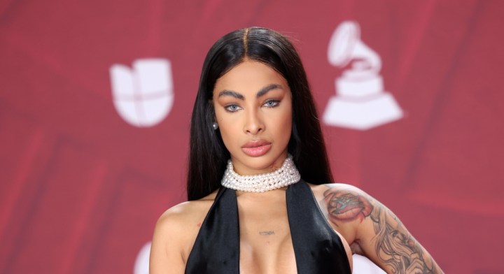 Yailin "La Más Viral" le pone un alto a un fan en pleno concierto,