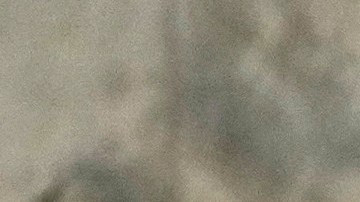 Zulinka (centro), hija mayor del cantante dominicano Rubby Pérez, quien falleció al derrumbarse el techo del club nocturno Jet Set durante su concierto de merengue, asiste a su velorio en el Teatro Nacional Eduardo Brito en Santo Domingo.  (Foto AP/Matias Delacroix).