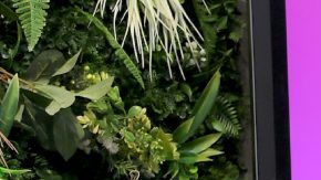 ¿Aleska Génesis se muda a Italia con Luca Onestini?