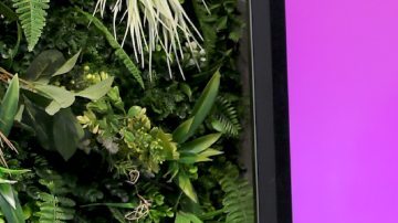 ¿Aleska Génesis se muda a Italia con Luca Onestini?