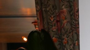 El equipo de Alicia Machado se queda sin otra concursante.