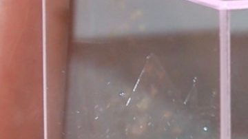 Azalia Arredondo sufrió ataque de pánico en el "Miss Universe Latina, el reality".