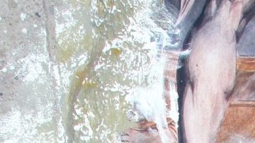 Adrián Di Monte es el noveno participante de "La Casa de los Famosos México 3".