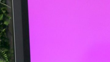 Aleska Génesis no engañó a Luca Onestini, según el modelo italiano.