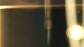 Alicia Machado confiesa la maldad qué le haría a una participante del "Miss Universe Latina".