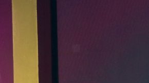 Ninel Conde es anunciada como la nueva integrante de "La Casa de los Famosos México".