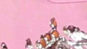 La convivencia en el "Miss Universe Latina, el reality" está cada día más difícil.