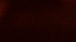 La expareja de Pepe Aguilar también apoyó la dura respuesta del joven artista en contra de su padre, a quien juró no guardarle respeto tras este incidente.  AP Photo/Julie Jacobson)