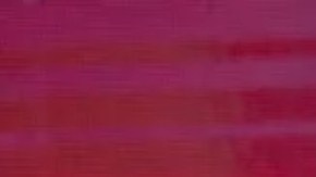 Priscila Valverde se disculpa con Ninel Conde.