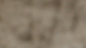 A esta oleada de mensajes se han unido otras estrellas como Lele Pons, Eixchel Berroteran y otras infuencer.