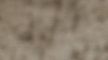 A esta oleada de mensajes se han unido otras estrellas como Lele Pons, Eixchel Berroteran y otras infuencer.