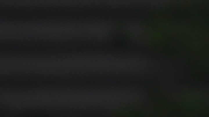 La artista viene también de ser una de las invitadas especiales al show de Shakira en México.