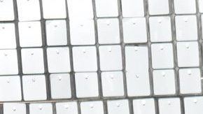 Dalilah Polanco reapareció con férula y muleta tras sufrir un accidente en "LCDLFMx".