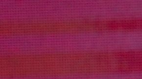 Ninel Conde tendría que pagar suma millonaria por infringir normas de "La Casa de los Famosos México".