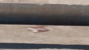 Vehículo de la Fiscalía de la Ciudad de México