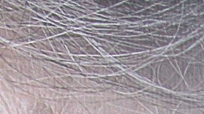 La boda reunió a más de 100 invitados, quienes fueron testigos del primer baile de los recién casados al ritmo contagioso de "Volare", la emblemática canción de los Gipsy Kings.