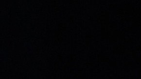 A lo largo de su vida, June Lockhart se distinguió por su amor hacia los animales y su constante labor en defensa de sus derechos. Fue una entusiasta colaboradora en la protección de los caballos de la Policía Montada de Santa Mónica y también prestó su voz como representante nacional de la organización International Hearing Dog Inc., dedicada al entrenamiento de perros para asistir a personas con pérdida auditiva. (Photo by Frank Micelotta/Invision for Academy of Television Arts & Sciences/AP Images)