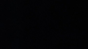 A lo largo de su vida, June Lockhart se distinguió por su amor hacia los animales y su constante labor en defensa de sus derechos. Fue una entusiasta colaboradora en la protección de los caballos de la Policía Montada de Santa Mónica y también prestó su voz como representante nacional de la organización International Hearing Dog Inc., dedicada al entrenamiento de perros para asistir a personas con pérdida auditiva. (Photo by Frank Micelotta/Invision for Academy of Television Arts & Sciences/AP Images)