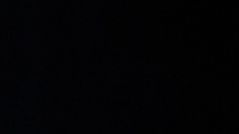 A lo largo de su vida, June Lockhart se distinguió por su amor hacia los animales y su constante labor en defensa de sus derechos. Fue una entusiasta colaboradora en la protección de los caballos de la Policía Montada de Santa Mónica y también prestó su voz como representante nacional de la organización International Hearing Dog Inc., dedicada al entrenamiento de perros para asistir a personas con pérdida auditiva. (Photo by Frank Micelotta/Invision for Academy of Television Arts & Sciences/AP Images)