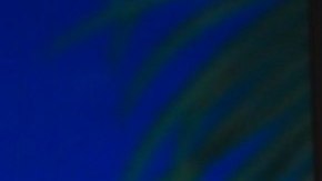 Adamari López intentó darse una nueva oportunidad en el amor, pero fracasó.