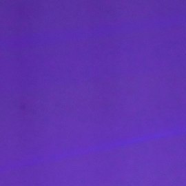 Aleska Génesis prometió no enamorarse en más realities.