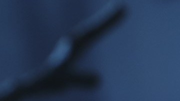 La Llorona estará disponible a partir del 14 de octubre de 2025, exclusivamente en El Palacio de Hierro, y posteriormente en diversos puntos de venta.