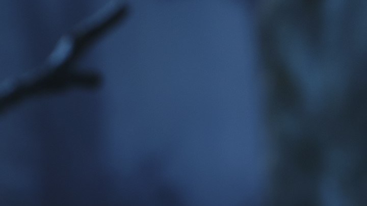 La Llorona estará disponible a partir del 14 de octubre de 2025, exclusivamente en El Palacio de Hierro, y posteriormente en diversos puntos de venta.