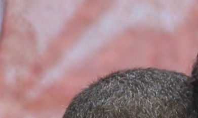 Jomari Goyso y Francisca Lachapel prenden debate en "Despierta América".