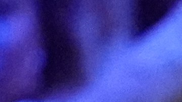 TMZ indicó que la familia celebró el funeral de la abuela de Lady Gaga el pasado 17 de octubre en Pompton Plains, Nueva Jersey.