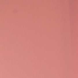 Ninel Conde ahora tiene los ojos color verde oliva: mira el resultado.