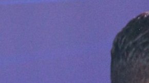 Paco Pizaña y Cristina Porta confirmaron su relación.