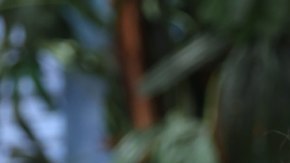 Paty Navidad defiende a Ángela Aguilar.