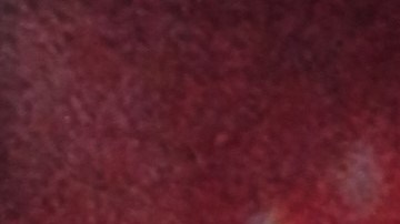 Ludwika Paleta se desvincula de los rumores que relacionan a su esposo de una banda de tráfico sexual.