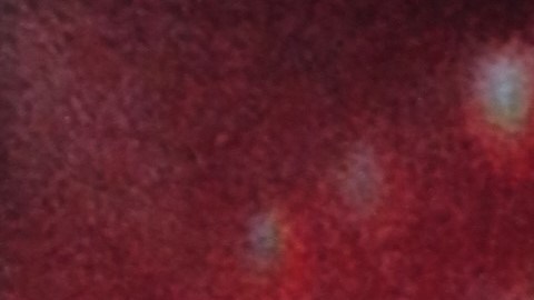 Ludwika Paleta se desvincula de los rumores que relacionan a su esposo de una banda de tráfico sexual.