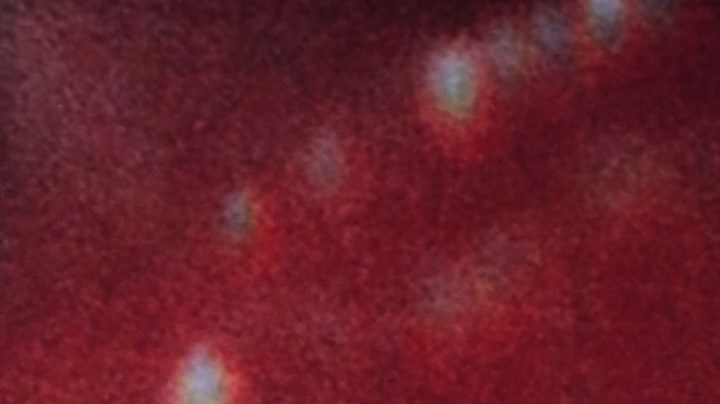 Ludwika Paleta se desvincula de los rumores que relacionan a su esposo de una banda de tráfico sexual.