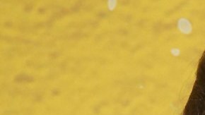 Andrea Legarreta aplaude el nunevo logro profesional de su hija Nina Rubín.