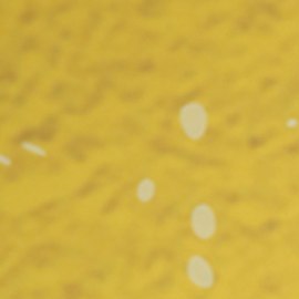 Conoce al galán que habría conquistado a Andrea Legarreta.