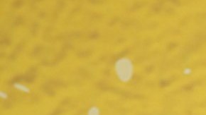 Conoce al galán que habría conquistado a Andrea Legarreta.