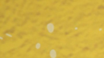 Conoce al galán que habría conquistado a Andrea Legarreta.