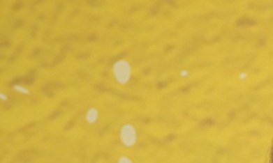 Conoce al galán que habría conquistado a Andrea Legarreta.