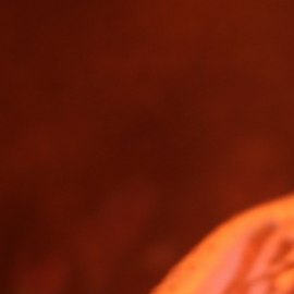 Nueva gira de Ángela Aguilar desató debate de opiniones en redes sociales.