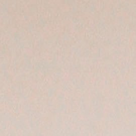 El video con su testimonio se ha viralizado en todas las redes sociales, donde cientos de seguidores le han mostrado su apoyo. (AP Photo/Jae C. Hong).