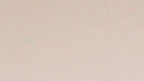 El video con su testimonio se ha viralizado en todas las redes sociales, donde cientos de seguidores le han mostrado su apoyo. (AP Photo/Jae C. Hong).