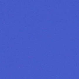 Bruce Willis padece demencia frontotemporal (DFT), una enfermedad neurodegenerativa que afecta áreas del cerebro relacionadas con la personalidad, el comportamiento y el lenguaje. (Photo by Todd Williamson/Invision/AP).