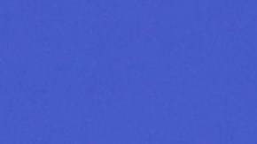 Bruce Willis padece demencia frontotemporal (DFT), una enfermedad neurodegenerativa que afecta áreas del cerebro relacionadas con la personalidad, el comportamiento y el lenguaje. (Photo by Todd Williamson/Invision/AP).