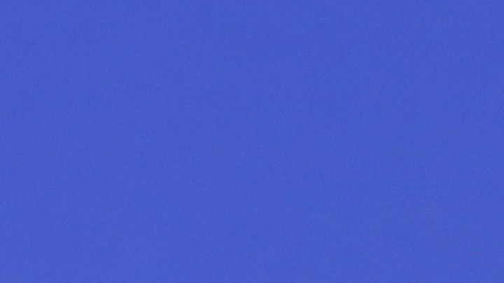 Bruce Willis padece demencia frontotemporal (DFT), una enfermedad neurodegenerativa que afecta áreas del cerebro relacionadas con la personalidad, el comportamiento y el lenguaje. (Photo by Todd Williamson/Invision/AP).